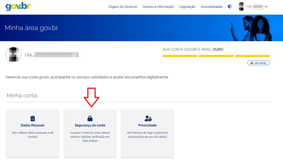 Tela do site https://acesso.gov.br onde o usuário pode acessar serviços como: Dados Pessoais, Segurança da Conta e Privacidade. 